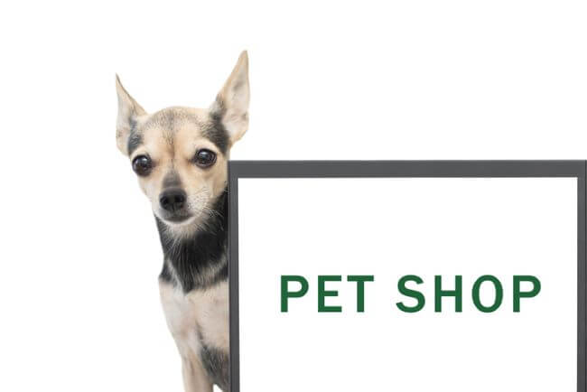 トリミングサロンの広告を打ち出したい！種類別に出稿方法や特徴を解説